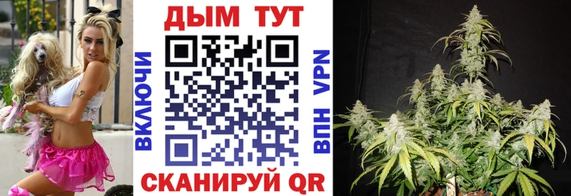 Конопля Amnesia  где продают   Калтан 